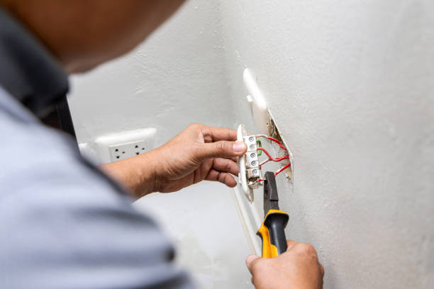 Best Electrical Repair Services  in Sierra Ridge, CO